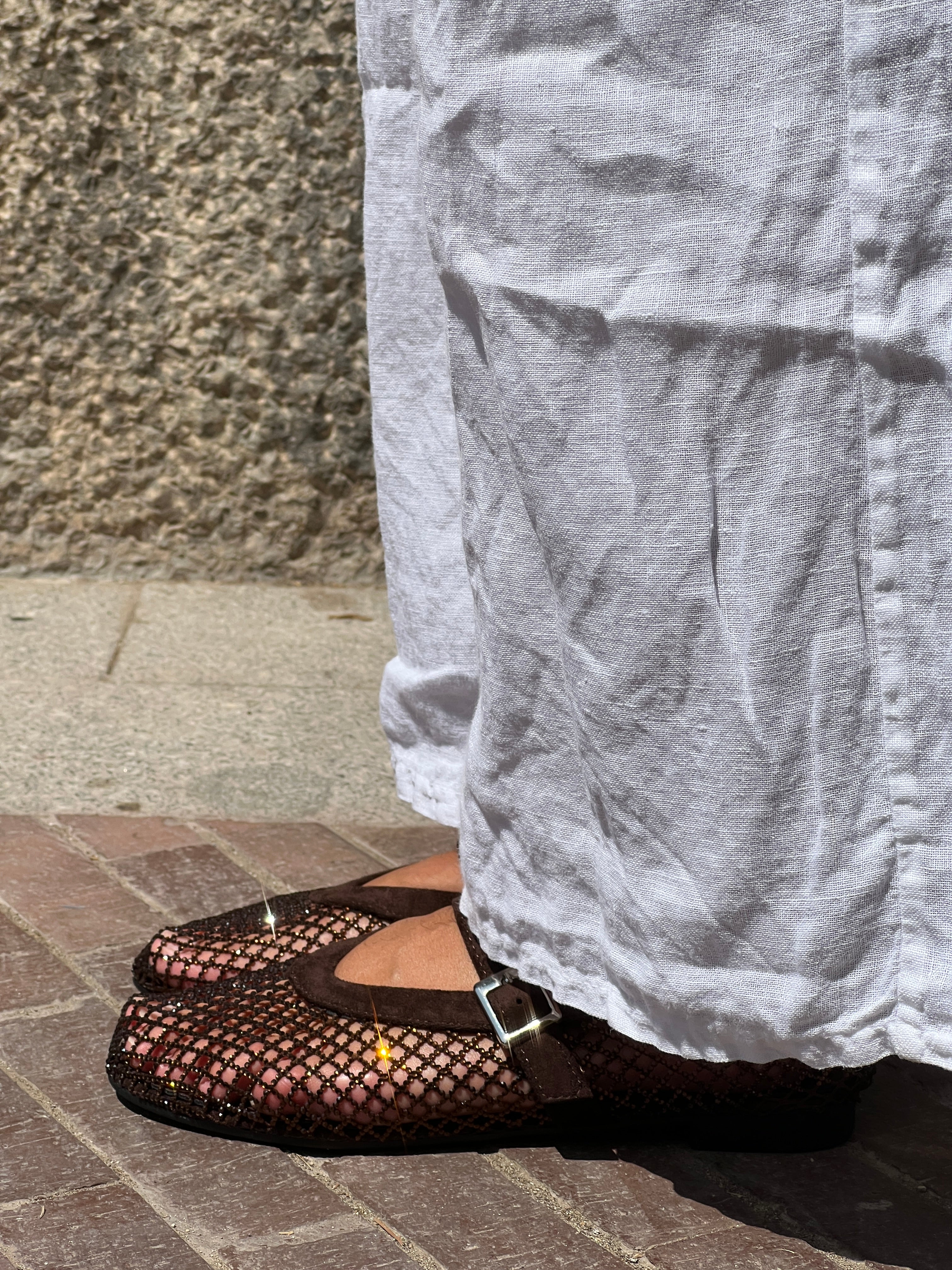 Ballerines amb xarxa
