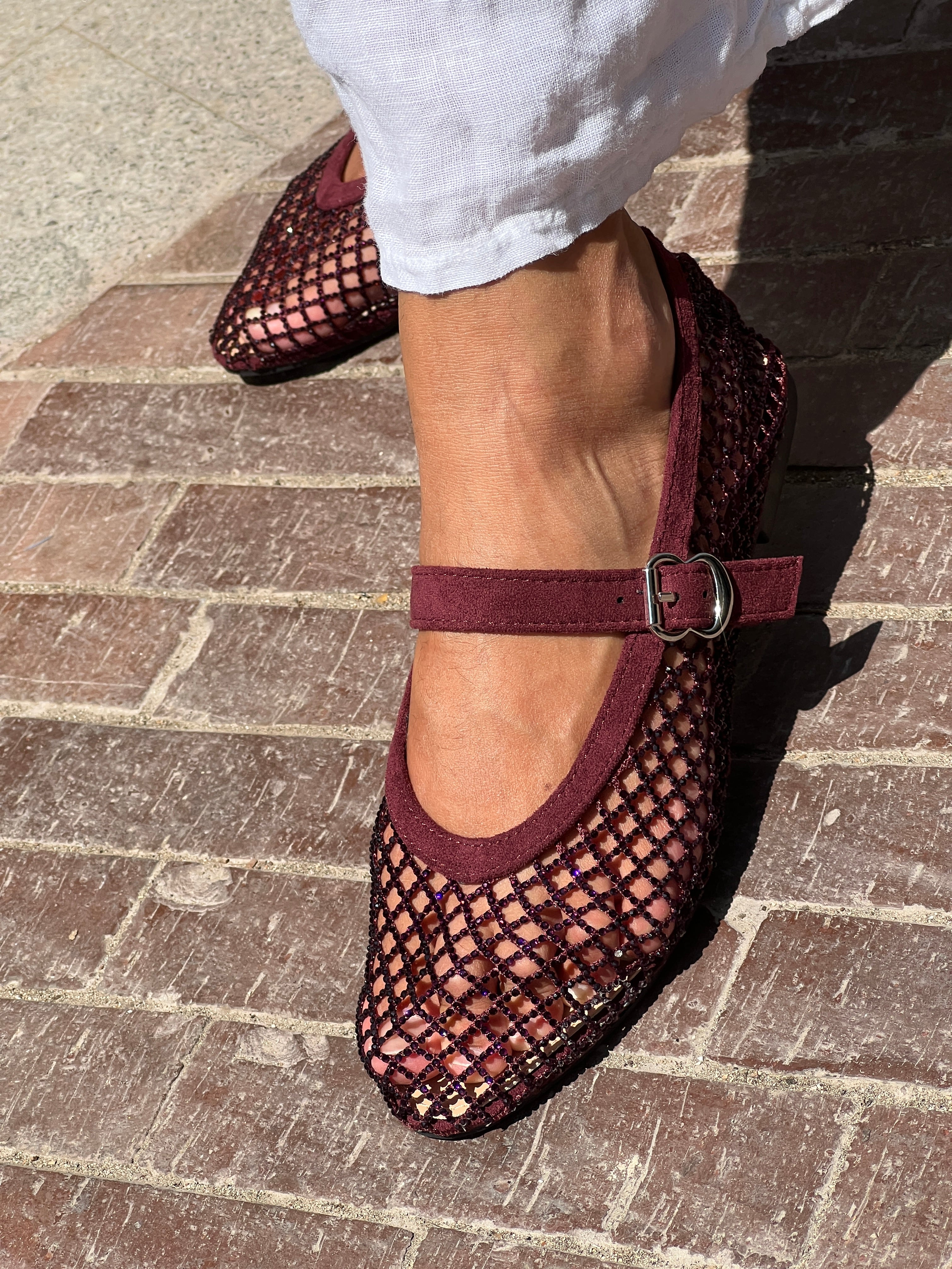 Ballerines amb xarxa