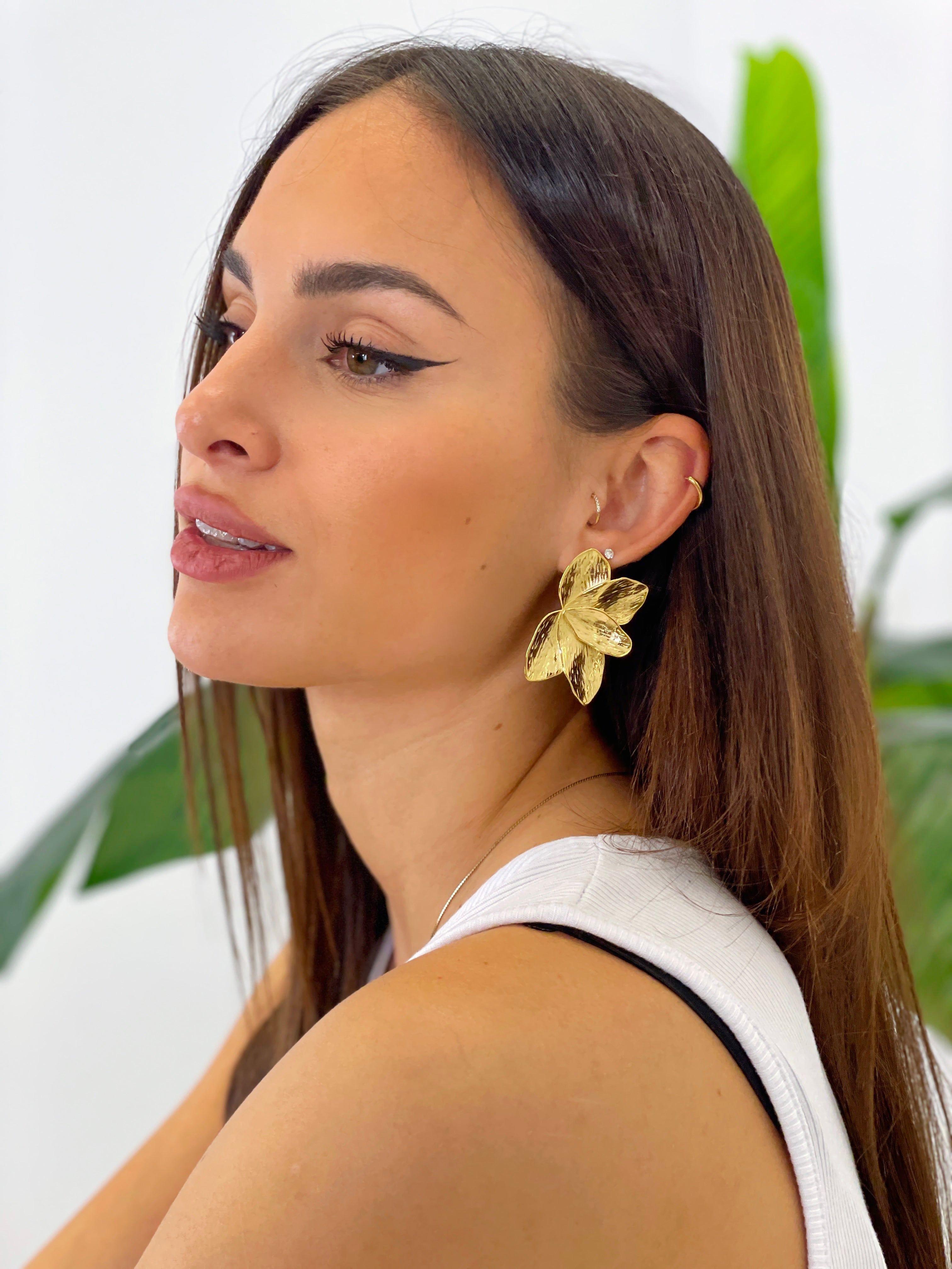 Luxury Earrings