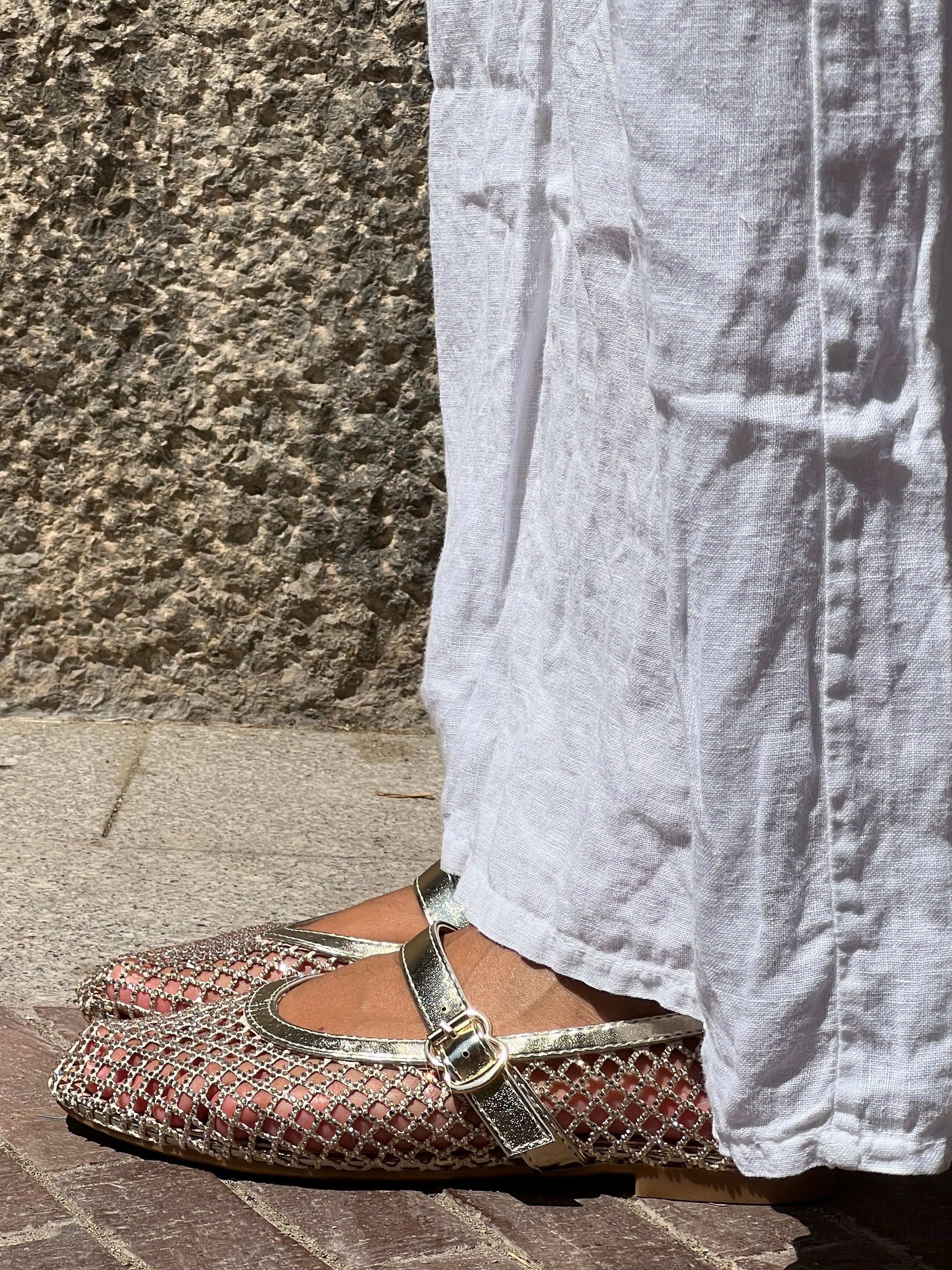 Ballerines amb xarxa