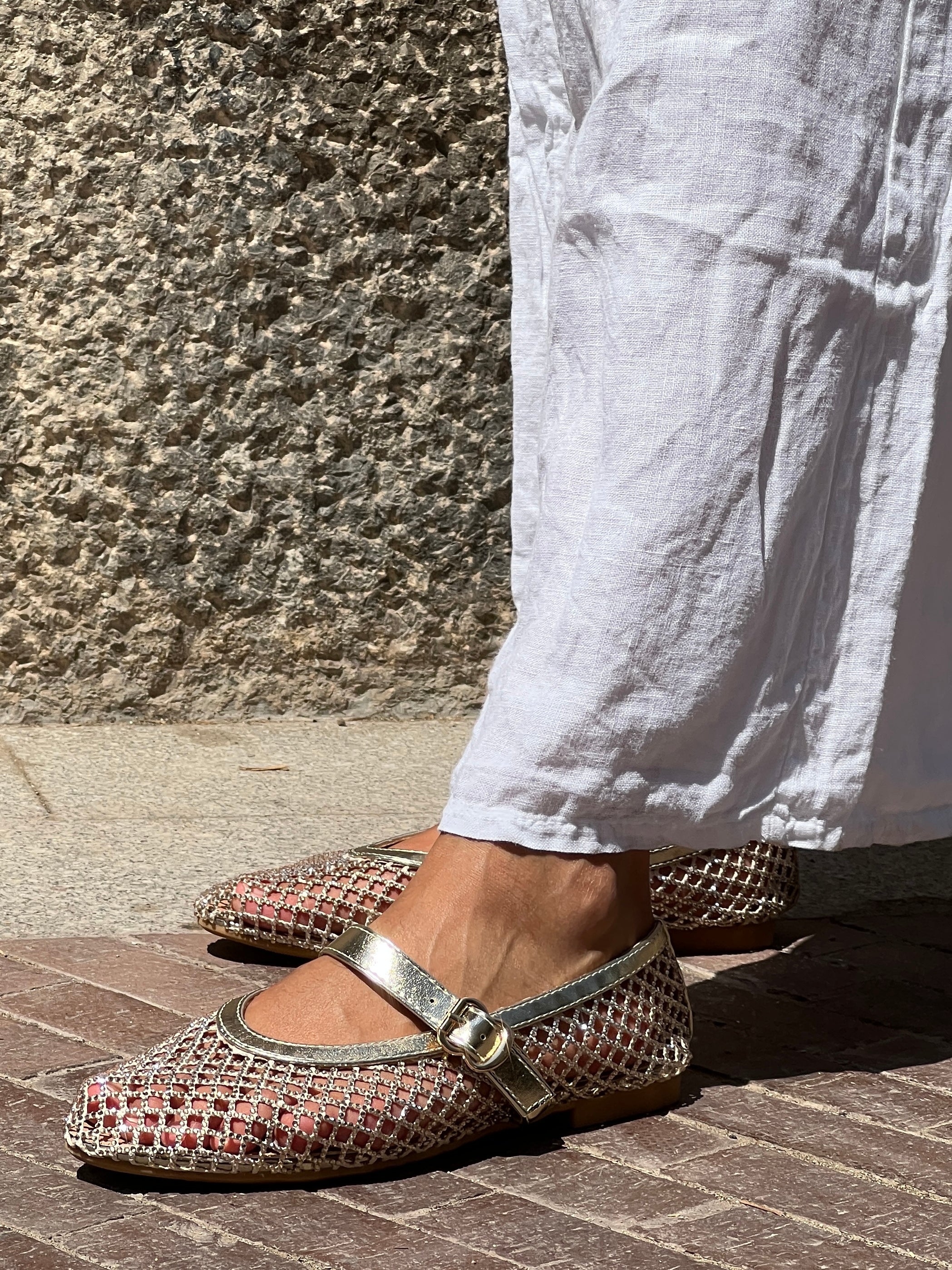 Ballerines amb xarxa