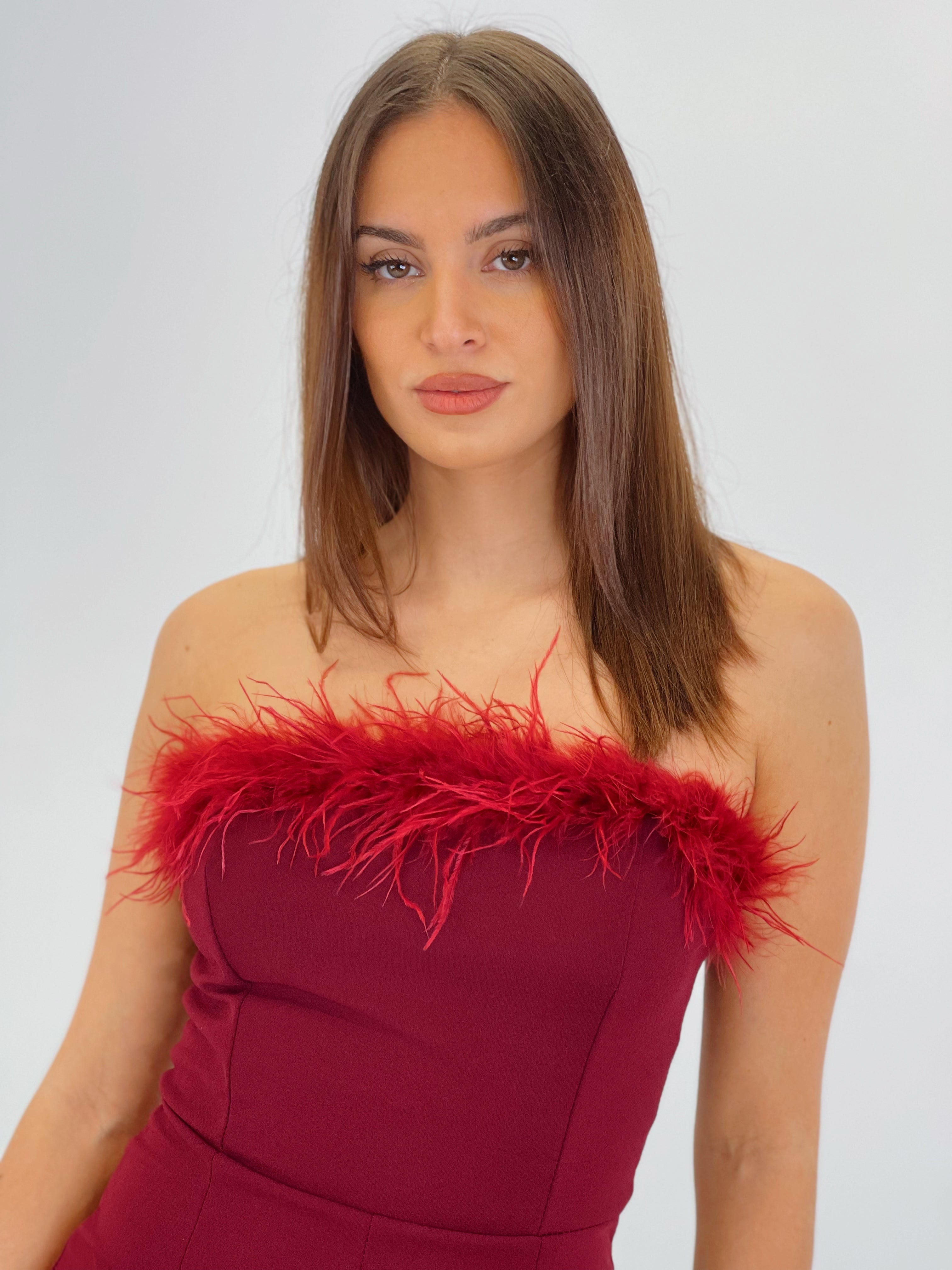 Mono crepscuba plumas